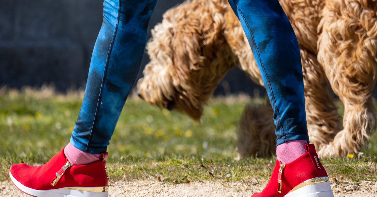 Bright red sneakers paired with blue jeans walking a furry dog on a sunlit path.