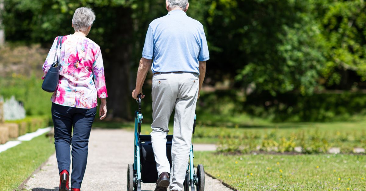 Senior couple walking in a park during summer, supporting mobility and togetherness.
