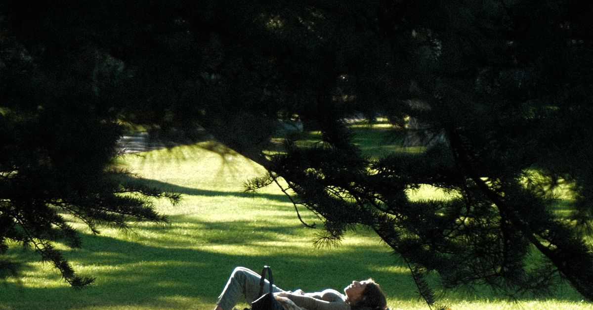 A person relaxing on grass under a tree's shade in daylight.