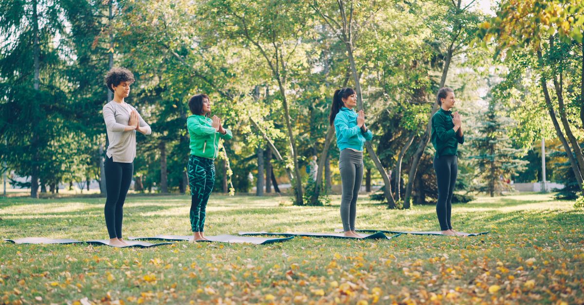 Four individuals practicing yoga in a sunny park setting with trees and grass.